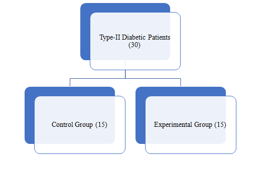 The study was conducted on thirty male (15 control group + 15 experimental group) type-II diabetic patients